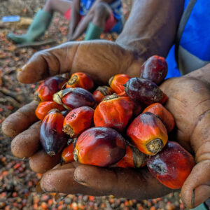 Alternative view of grains