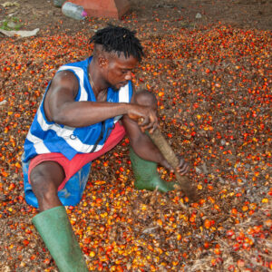 Alternative view of vegetables